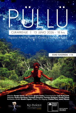 afiche